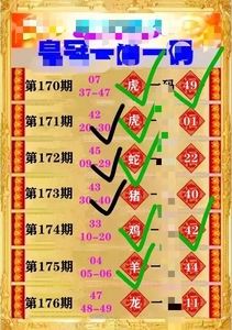 最准一肖一码100%精准下载,效能解答解释落实_游戏版121,127.12