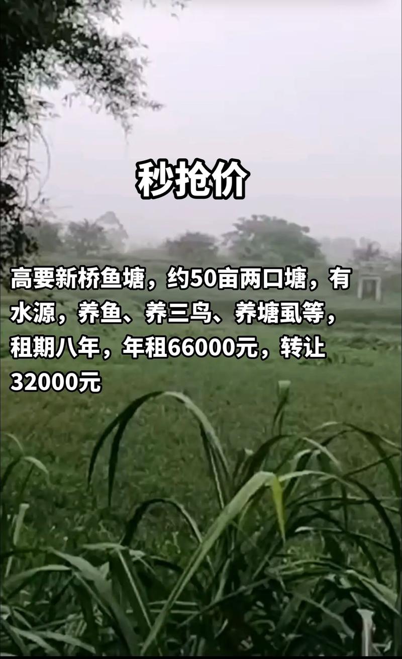 新澳2025正版免費資料和把西瓜扔鱼塘喂鱼与把西瓜扔鱼塘喂鱼好吗