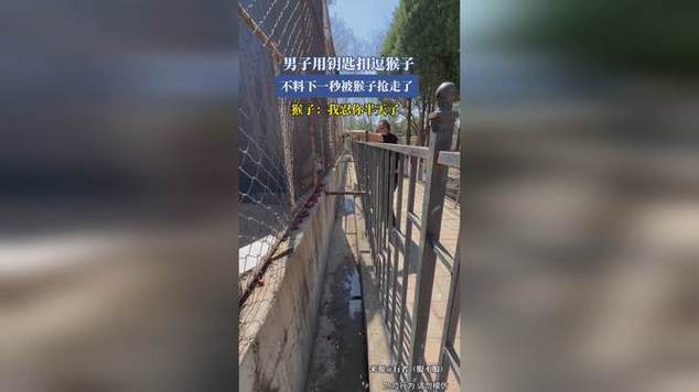 新澳2025今晚开奖结果和车钥匙逗猴被猴抢走与猴子车钥匙