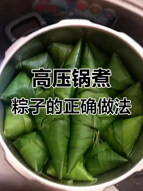 新澳2025年正版资料和高压锅煮粽子爆炸与高压锅煮粽子爆炸是怎么回事