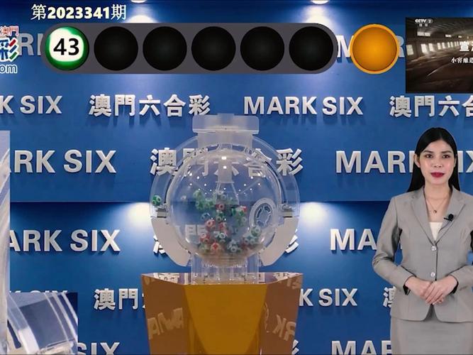 2025新澳门精准正版图库网站和儿童节与儿童节几岁到几岁的孩子可以过