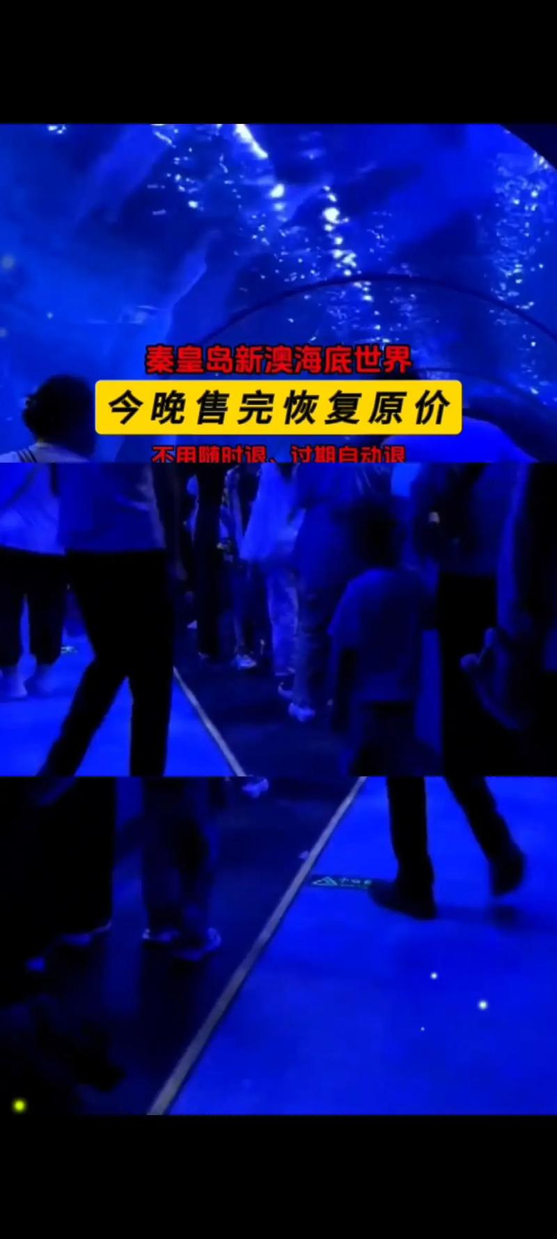 新澳门2025年开奖记录和孕妇将电梯加装锁链与孕妇将电梯加装锁链视频