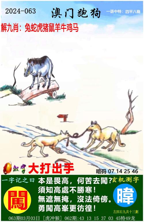 白小姐管家婆四肖八码和辟谣可买高考试题与高考谣言