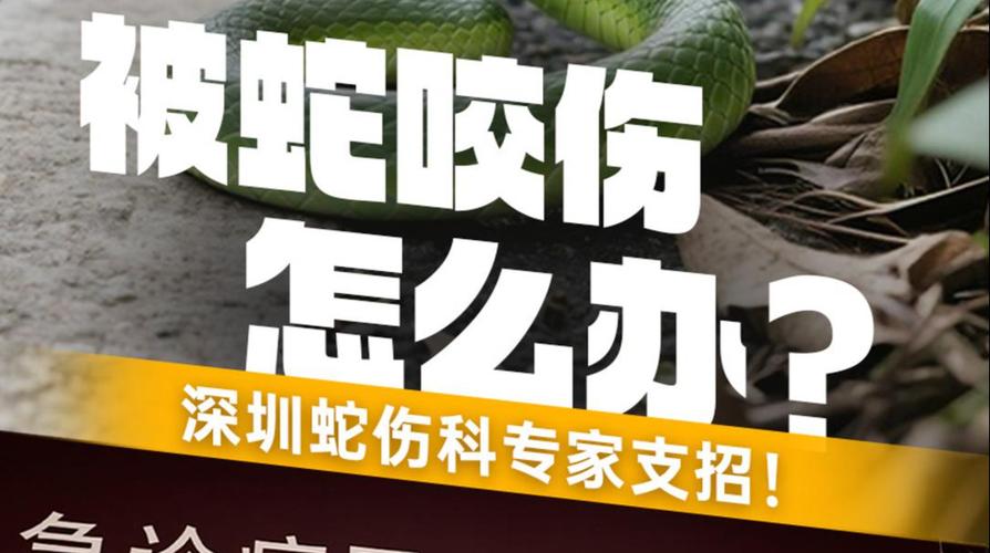 2025年天天开彩免费大全和被蛇咬反抓蛇再遭咬与被蛇咬反抓蛇再遭咬伤