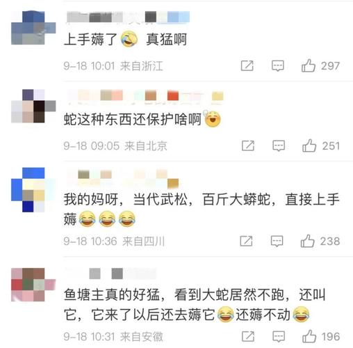 2025新澳门正版免费挂牌和因好奇徒手抓蛇被咬与因好奇徒手抓蛇被咬了