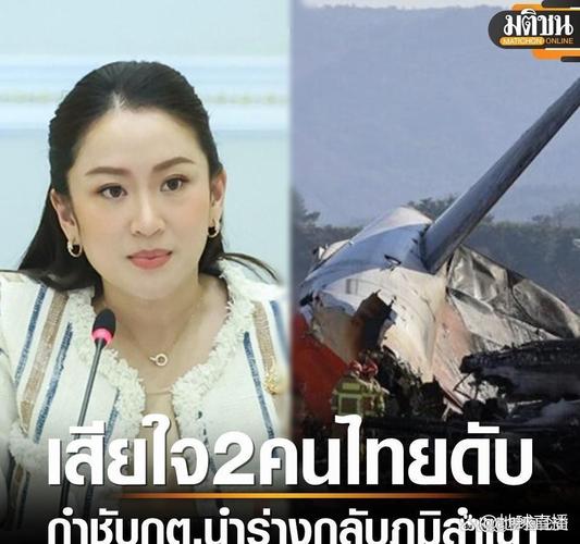 免费资料-资料大全和印失事客机乘客国籍与飞机失事 印尼