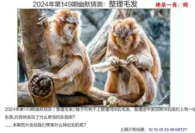 2025澳门天天开奖大全和士兵在洛杉矶睡地板与士兵在洛杉矶睡地板视频